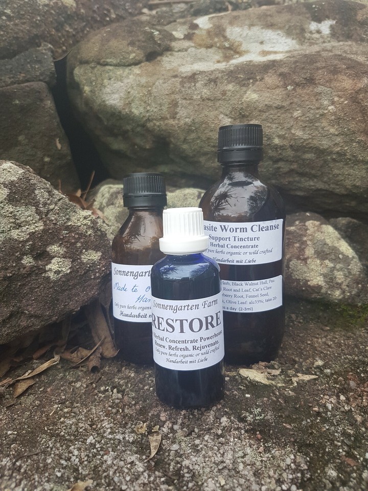 The Big Cleanse//Parasites Worms Formula//Extract//Tincture//Herbal ...