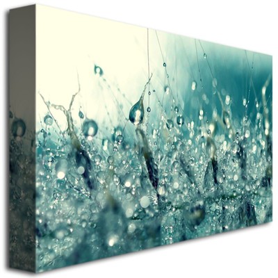 Trademark Art Beata Czyzowska Young Under The Sea Canvas Art, 22 by 32-Inch