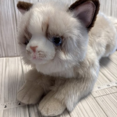 20 Inch Plush Gray Ragdoll Cat Stuffed Animal Toy Blue Eyes Soft Realistic CLEAN