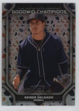 2024 Goodwin Champions Platinum Rainbow Terrazzo 72/249 Keiner Delgado #P70 7ut