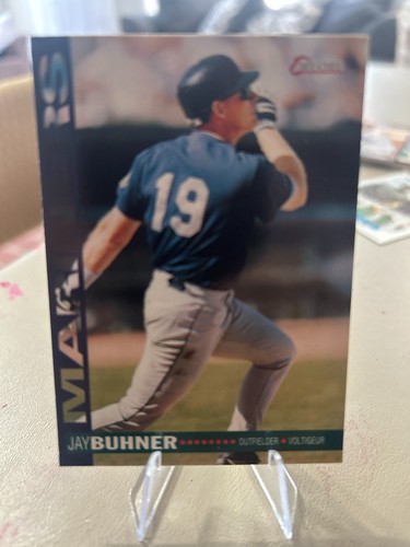 Jay Buhner #268 1994 O-Pee-Chee card