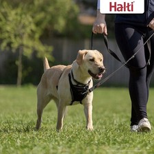 HALTI - No Pull Harness Professional Dog Harness to Stop Pulling on Lead. Medium
