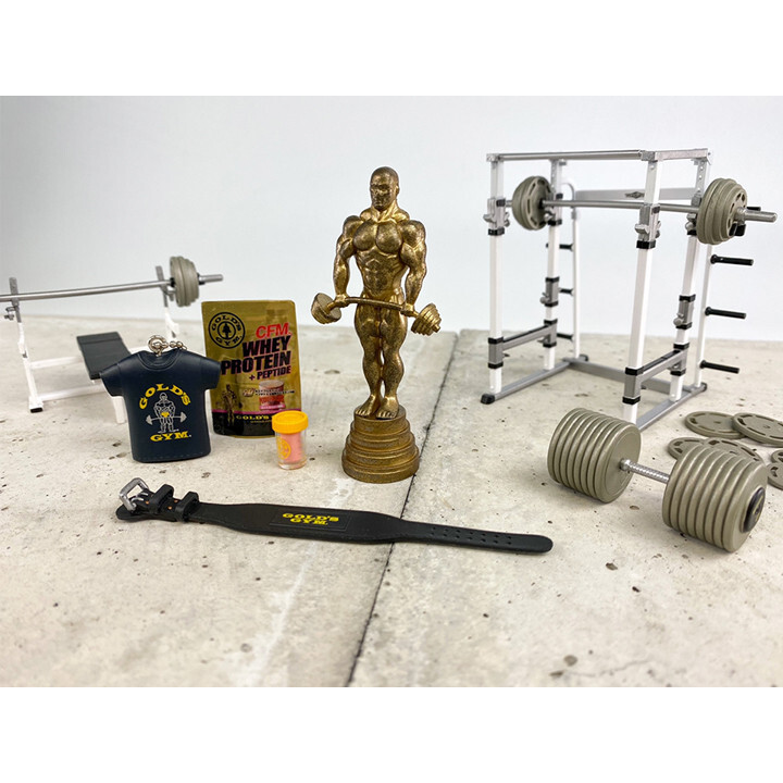 GOLD'SGYM miniature collection Complete set muscle training figure