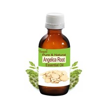 Angelica Root Essential Oil Natural   Angelica archangelica Aromatherapy Bangota
