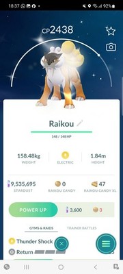 Pokemon Go Shiny Legendary Raikou (Gereinigt)