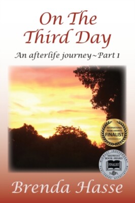 Hasse - On The Third Day  An Afterlife Journey - New paperback or soft - X555z