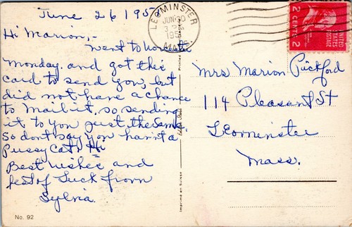 Cat Portrait, cute, vintage postcard, bell, Leominster, MA - Picture 2 of 2