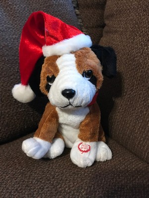 dog dancing and singing