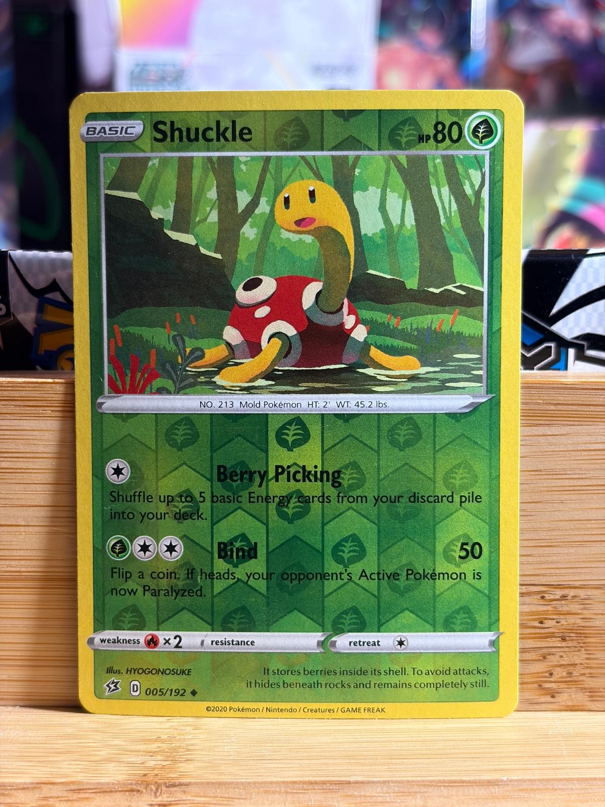 SHUCKLE 005/192 Rebel Clash UC Reverse Holo Pokemon TCG LP