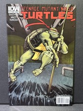 Teenage Mutant Ninja Turtles #1 Cover B IDW Publishing 2011 NM-