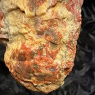 Natural Red Coprolite Rough Rock Mineral Specimen for Cabbing — photo 7