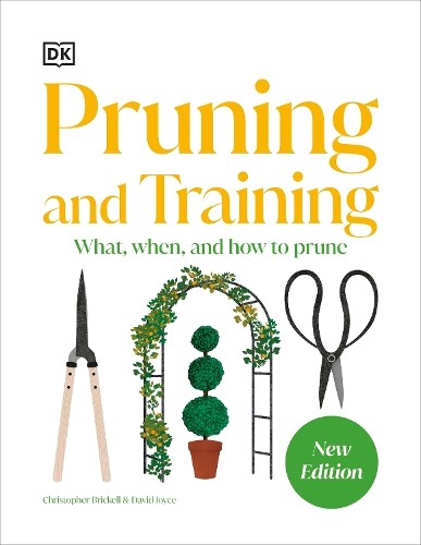 DK Pruning and Training (Copertina rigida)