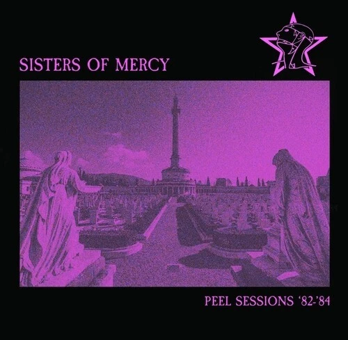 25+ The Sisters of Mercy 12