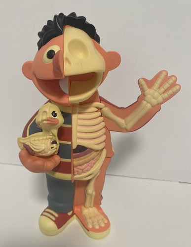 [MIGHTY JAXX ]  XXRAY PLUS ERNIE RETRO EDITION BY Jason Freeny /READ - Afbeelding 9 van 14