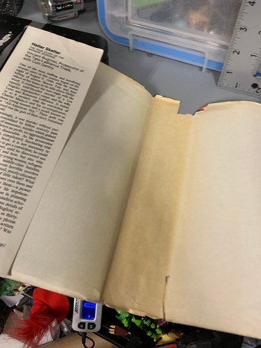 Helter Skelter von Vincent Bugliosi ~ 1974, W.W. Norton & Co. - Bild 13 von 16