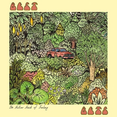 The Hollow Husk of Feeling von Best Bets [VINYL]