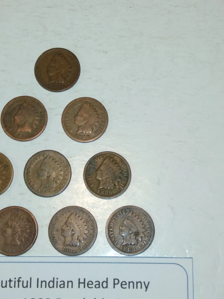 Lot #765 10 Beautiful Indian Head Penny Coins 1800 to 1889 G-VG See Pictures - Image 3 of 4