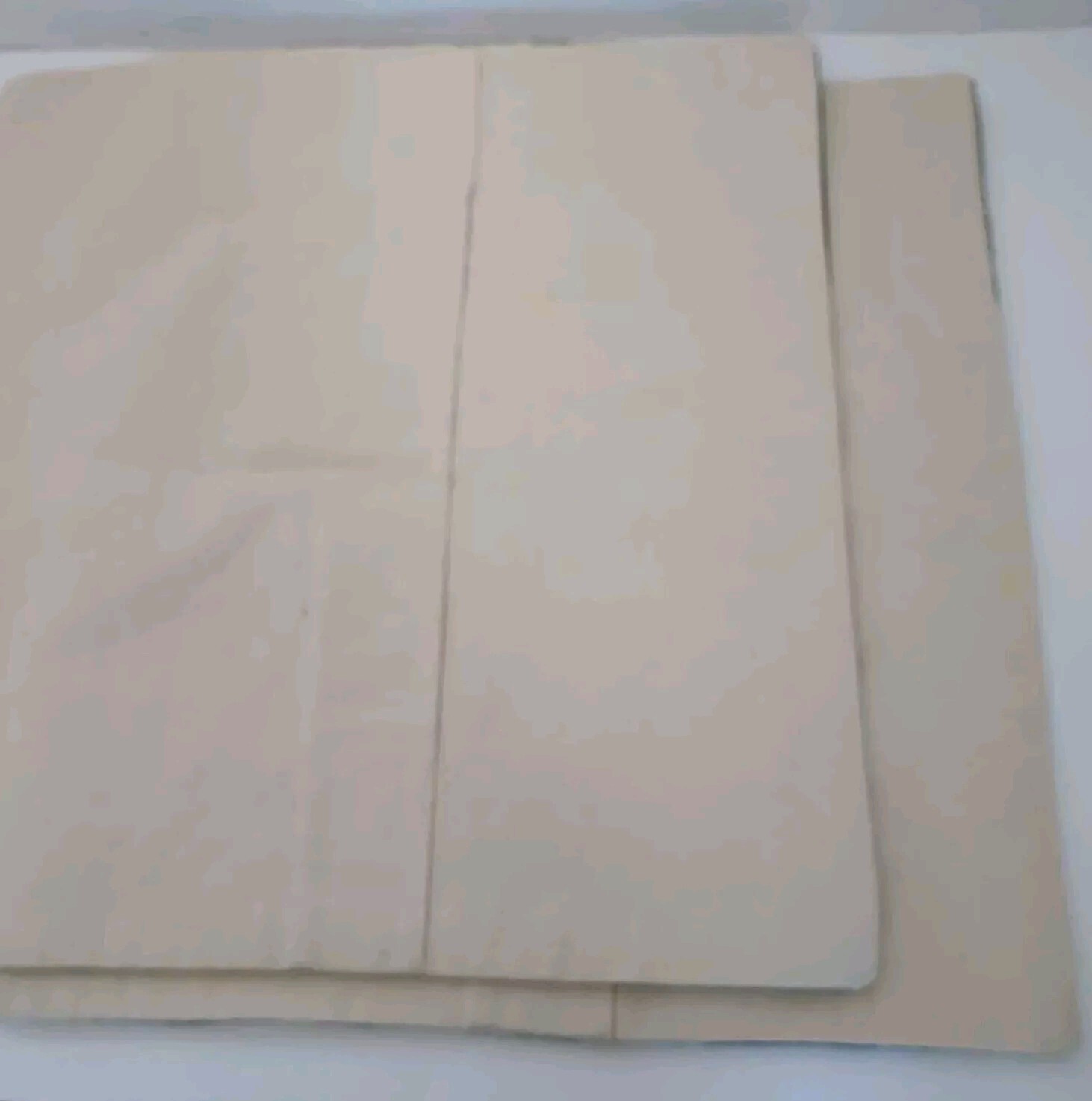 Pr. Vtg Hand Embroider Kashmiri Kashida Chain Stitch Fall Floral Pillow Covers 