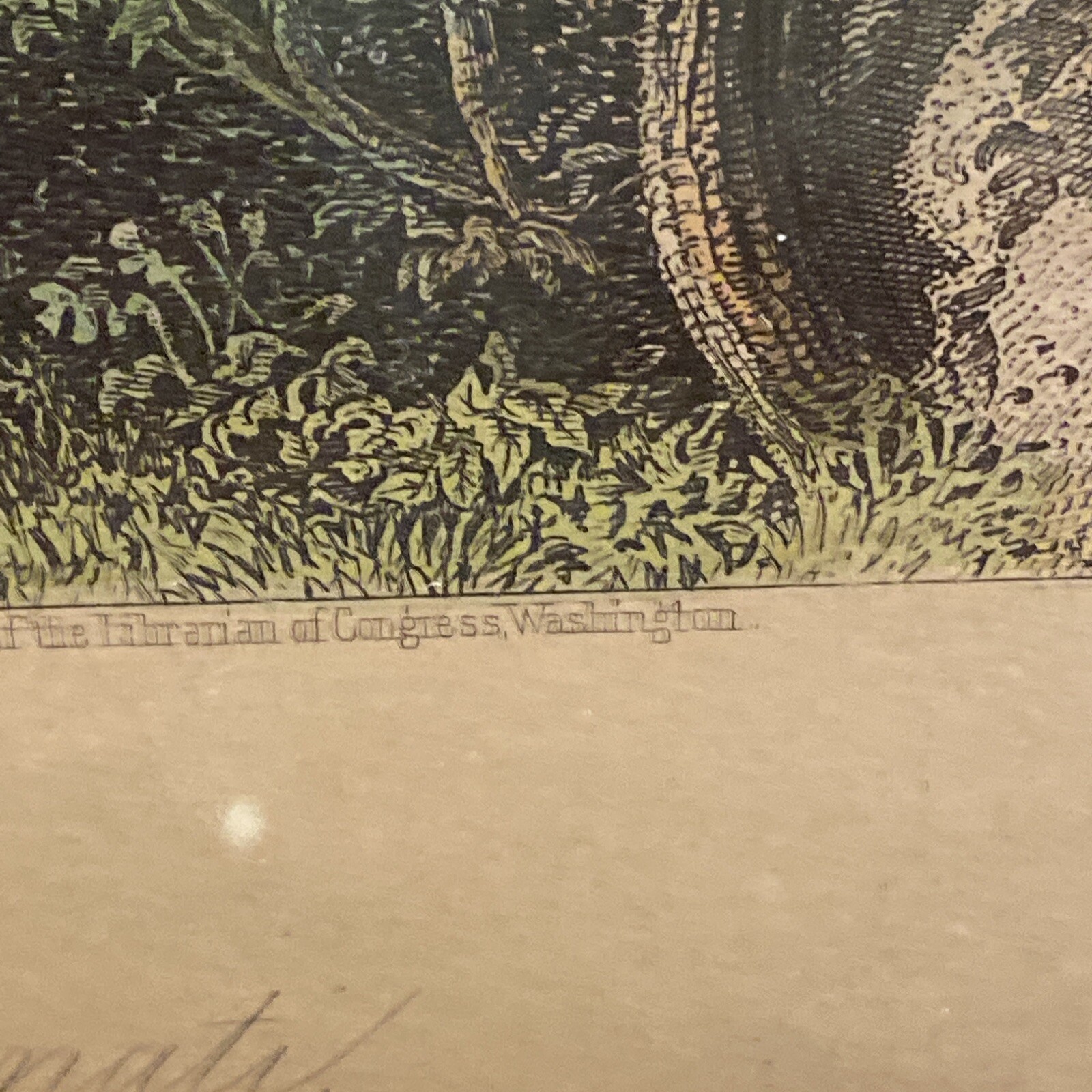 Picture 7 of 8