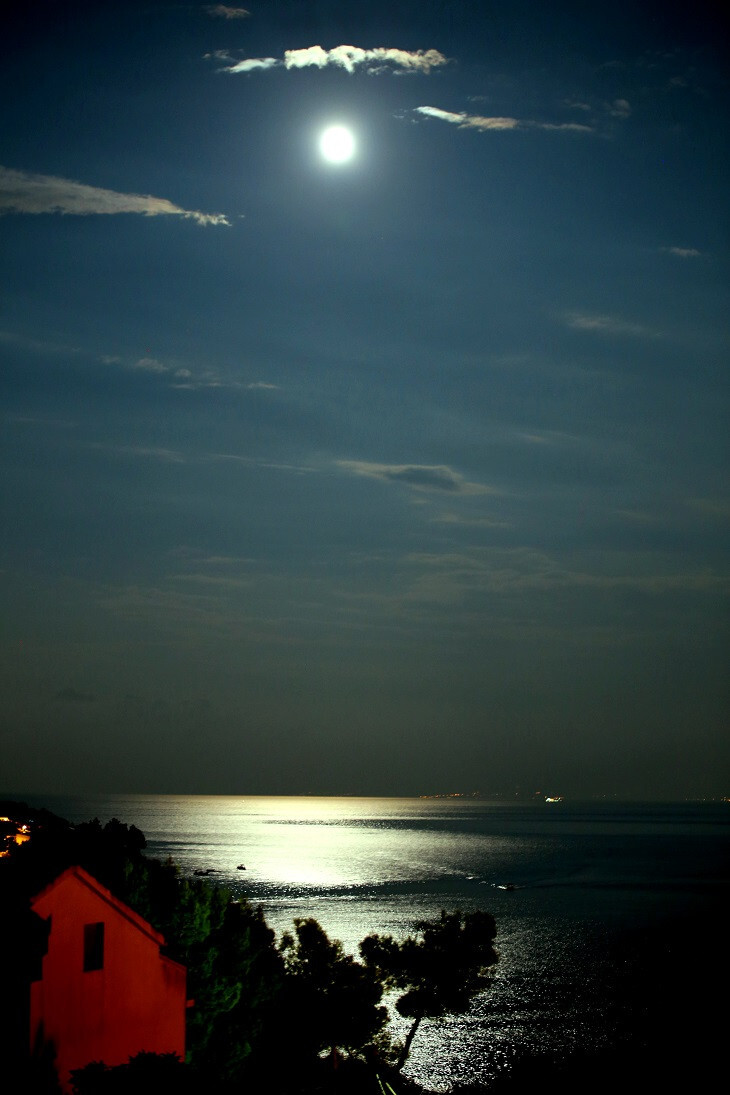 Bild 7 von 20