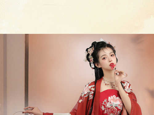 Ancient Chiffon Hanfu Dress Tang Embroidery Chinese Traditional Cosplay Suit - Picture 20 of 27