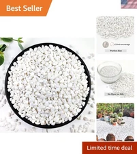 10LB Decorative Pebbles for Aquariums, Gardens & Creative Projects