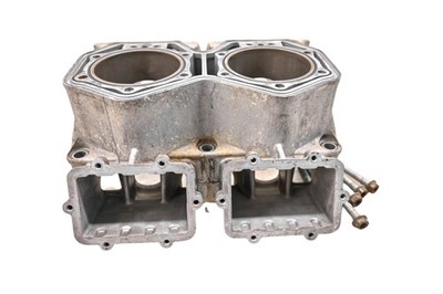 16 Ski-Doo Summit 800R E-TEC Cylinder 154''