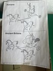 Foto 5 di 14