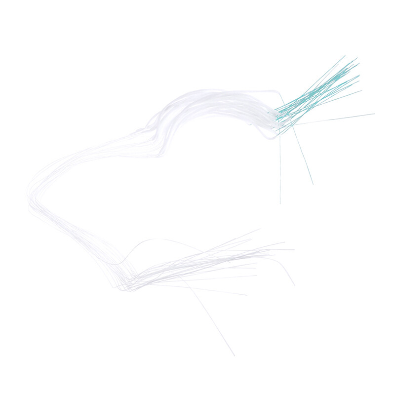Bild 6 von 12