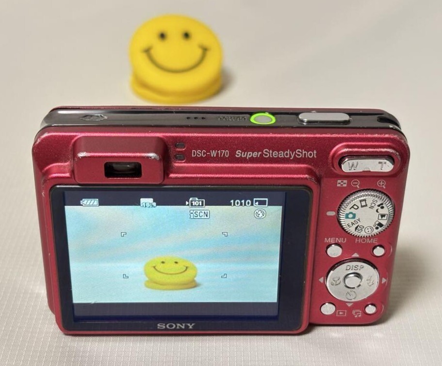 Sony Cyber-shot DSC-W170 10.1MP Digital Camera - Silver (DSC Sony Cyber-shot DSC-W170 10.1MP Digital Camera - Silver (DSC