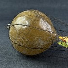 Picture 10 of 23