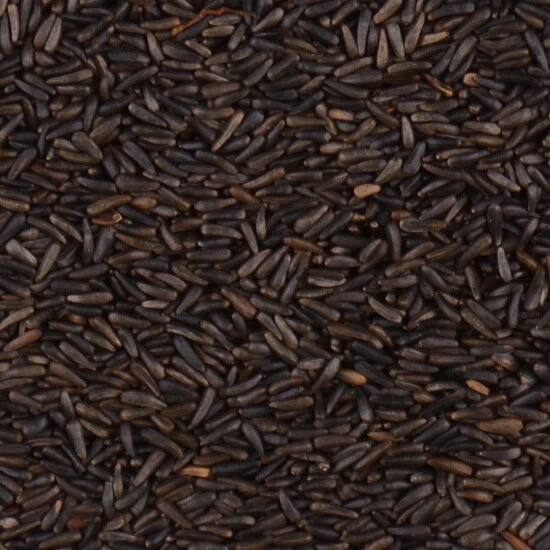 VOLKMAN Nyjer Thistle Seed 2lb