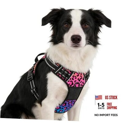 No Pull Dog Harness, Cute Leopard Reflective Sized Medium Neon Leopard Print
