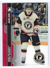 2013-14 ITG Heroes & Prospects #80 Adam Erne