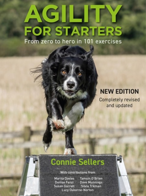 Agility For Starters : From Zero To Hero In 101 Exercises Connie Sellers - Image 2