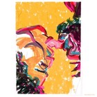 Bild 23 von 24