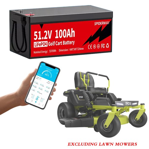 51.2V 100Ah Lithium LiFePO4 Battery 6000+ Cycle For RYOBI Electric Lawn Mowers - Picture 2 of 12