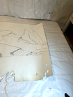 Picture 5 of 8