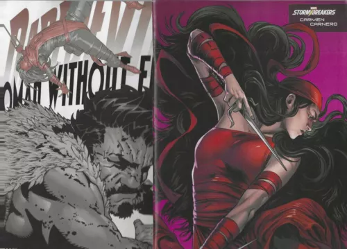 DAREDEVIL WOMAN WITHOUT FEAR #3 1ST PRINT + STORMBREAKERS VARIANT NEW PUNISHER
