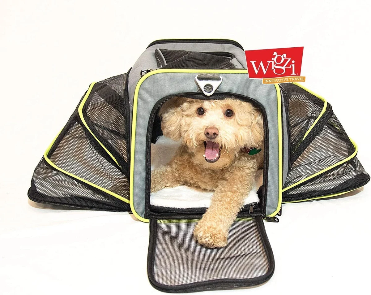 Pet carriers for dogs cheap up to 20 lbs