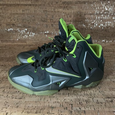 lebron 11 dunkman