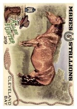 2019 Topps Allen and Ginter Mares and Stallions #MS12 Cleveland Bay Horse 