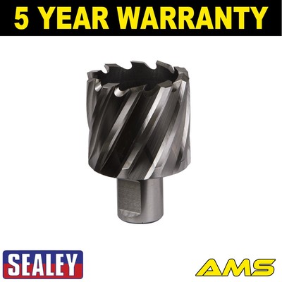 Sealey Worksafe �� 42 mm HSS Mag Bohrer Schnitttiefe 25 mm RBHSS42S