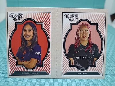 #ad #ad 2025 Parkside Beachwood Brand Squared Jun Endo 28 Caprice Dydasco 11 $6.99