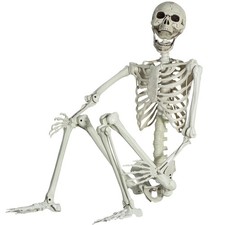 EVINIS 5.4Ft/165cm Halloween Skeleton Life Size with Posable Joints