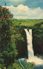 Postcard Rainbow Falls Hilo Hawaii Island Framed by Scarlet African Tulip Trees