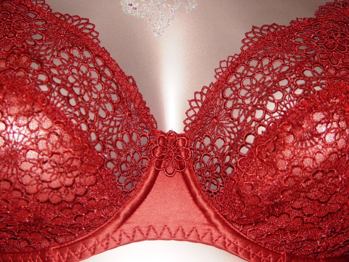 Soutien-gorge MAISON LEJABY Elixir Carmin - 95D (80D EU) - Armatures - Neuf