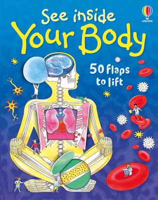See Inside Your Body | Katie Daynes | Buch | See Inside | 15 S. | Englisch