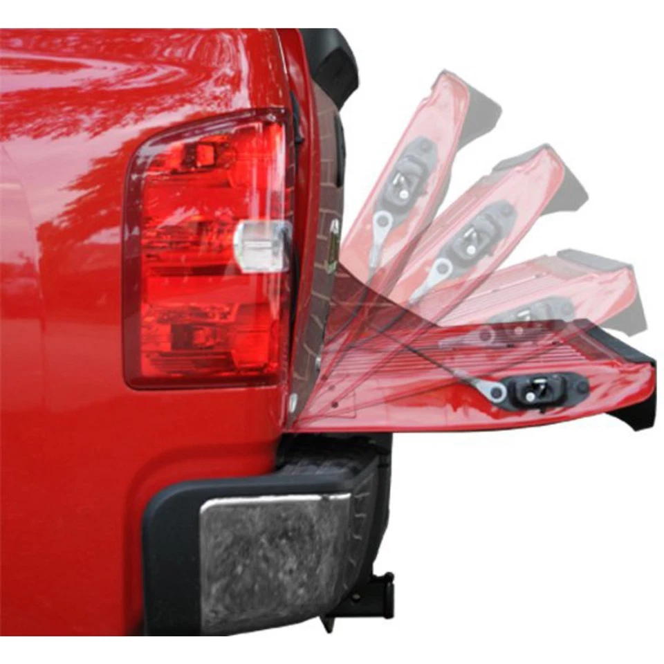 Asistencia de puerta trasera DZ43203 Dee Zee para camioneta F450 F250 F350 F150 F-450 Super Duty Foto 2 de 3