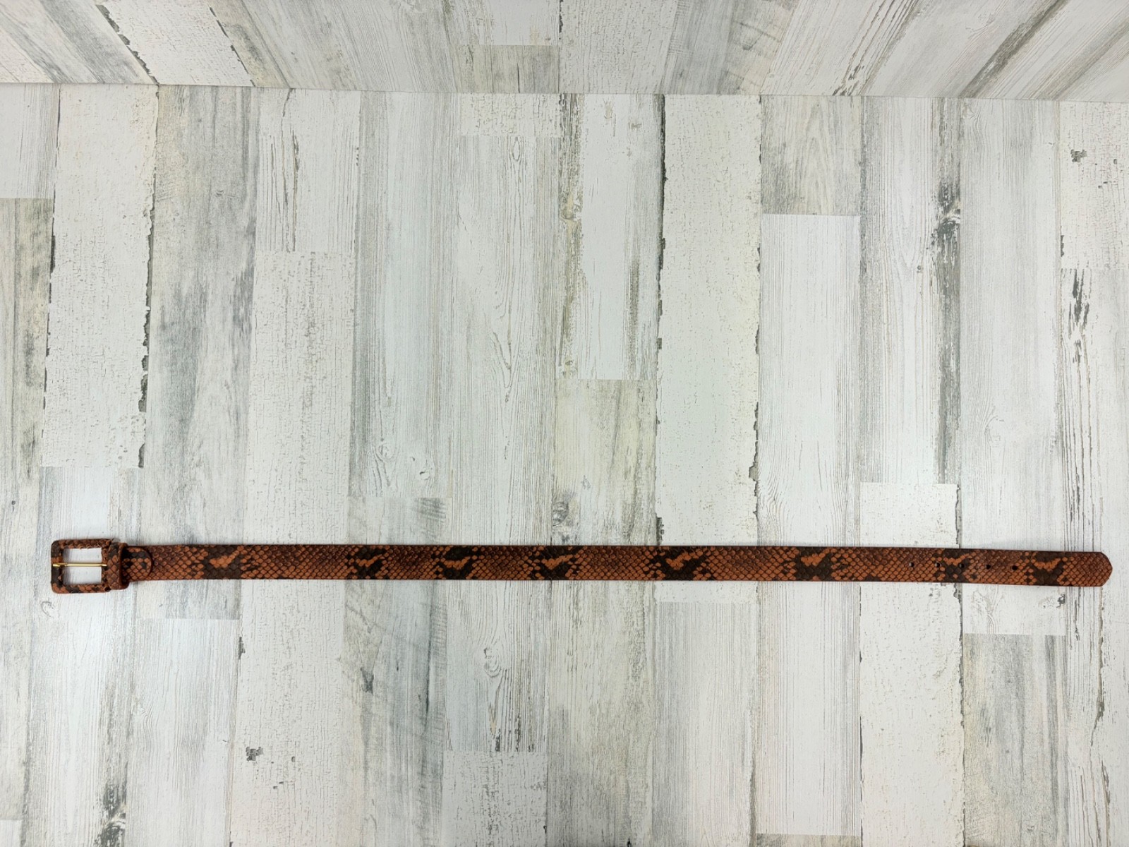 W. Kleinberg Embossed Python Snake Belt Leather W… - image 2